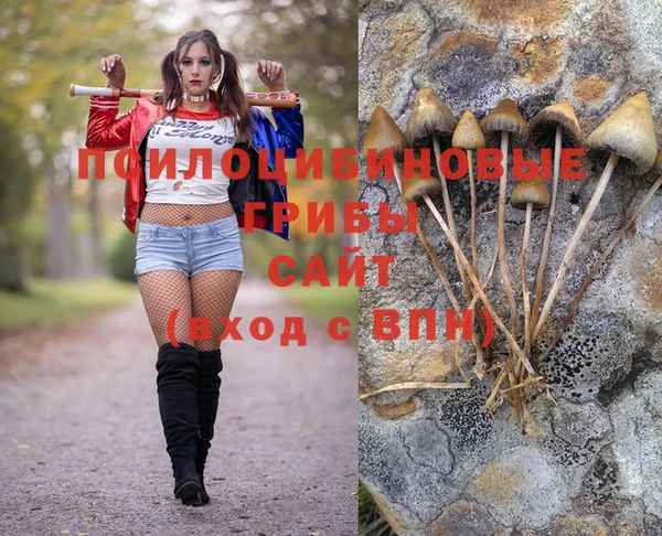 ешки Бугульма